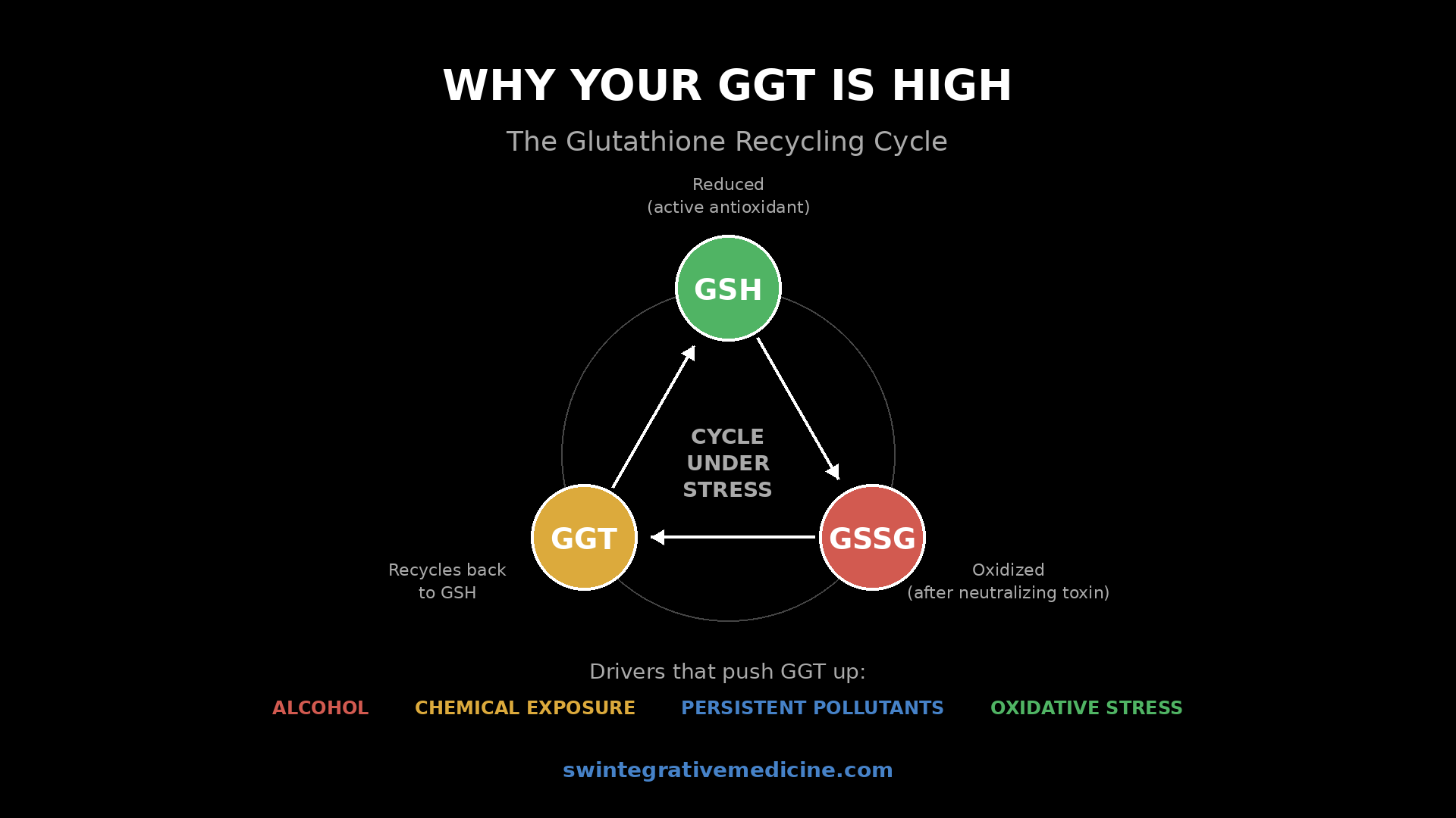 what does taking glutathione do does ingesting glutathione work 😮 “Does taking glutathione actually work?”  Many people take glutathione supplements hoping